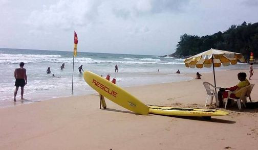 Медузы на популярном курорте больше не опасны