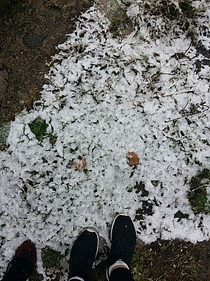 Синоптики уточнили информацию о снеге