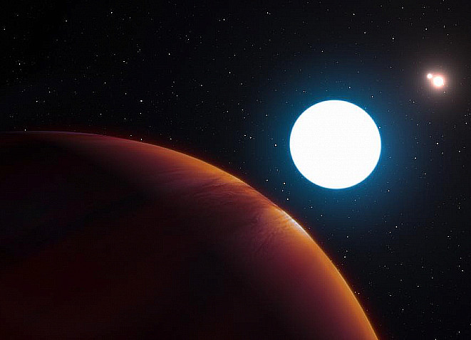 На Марсе обнаружили неизвестных животных