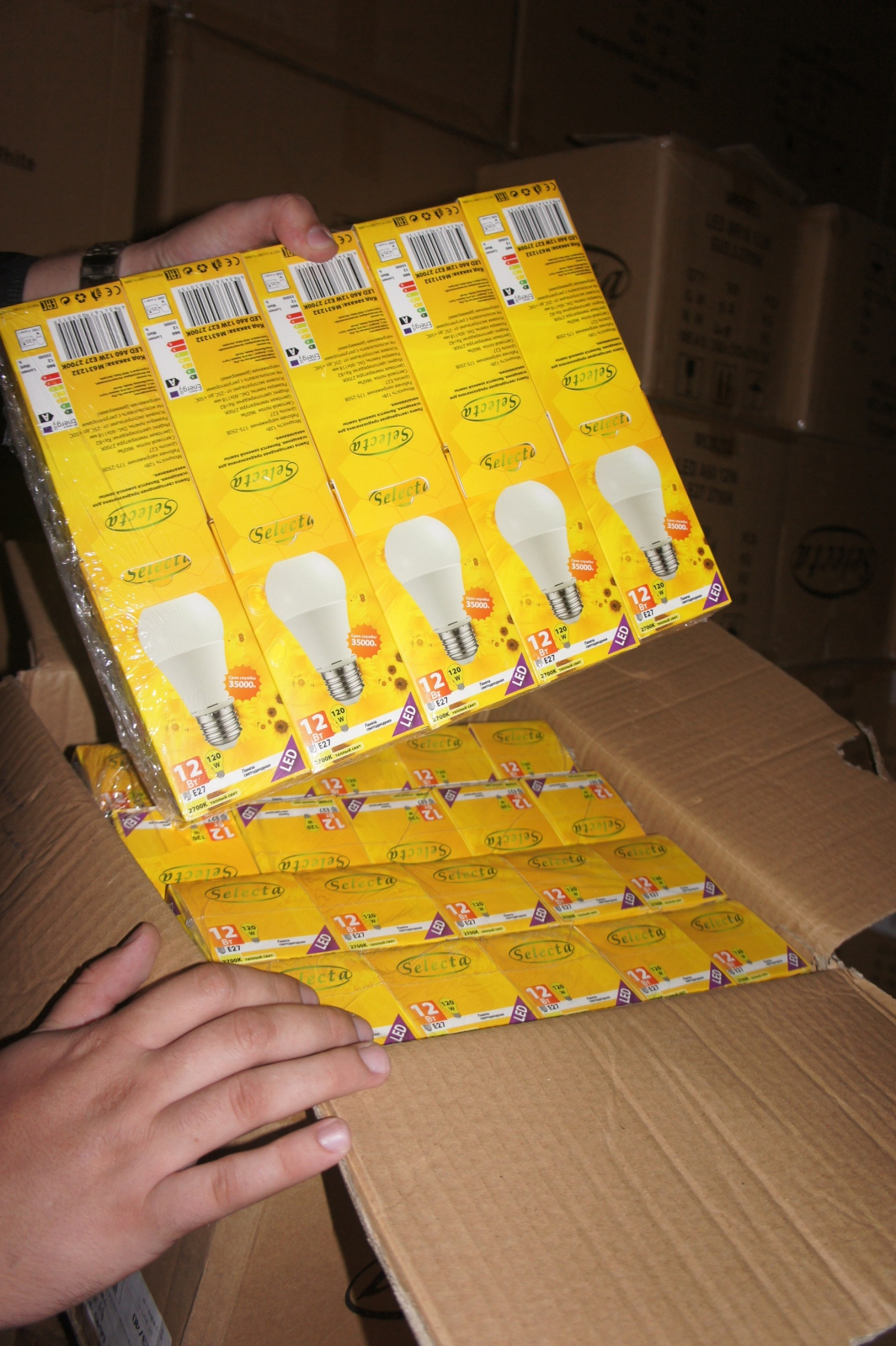 13 тысяч ламп не засияют для владивостокцев