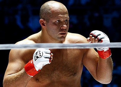 Нападение на дочь Емельяненко определили как побои