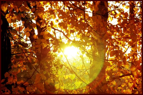 Синоптики обещают теплые выходные