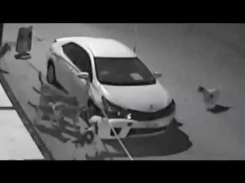 Бродячие собаки обглодали автомобиль