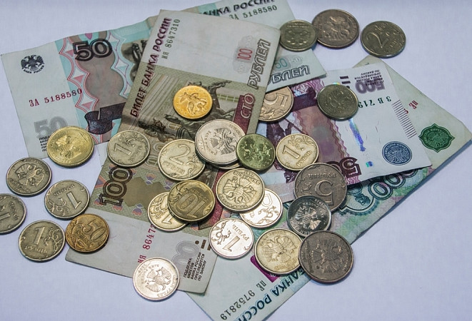 Приморцам предложили выжить на 9,8 тысяч рублей