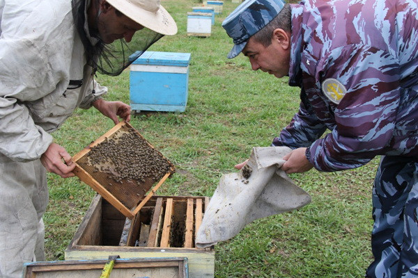  Осужденные смогут попить в кафе чай с медом