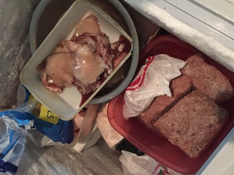 Куда не ступала нога Ревизорро (ФОТО)