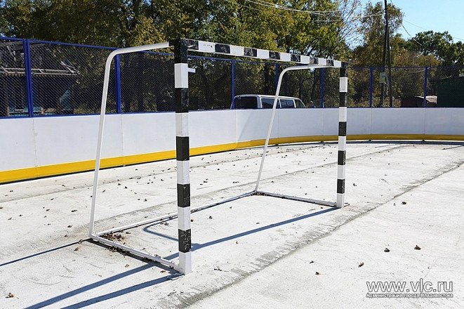 Экс-сенатор Фетисов: спорт пора реформировать