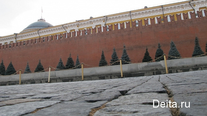 Дворковичу доложат о ходе реализации "рыбных" поручений Путина