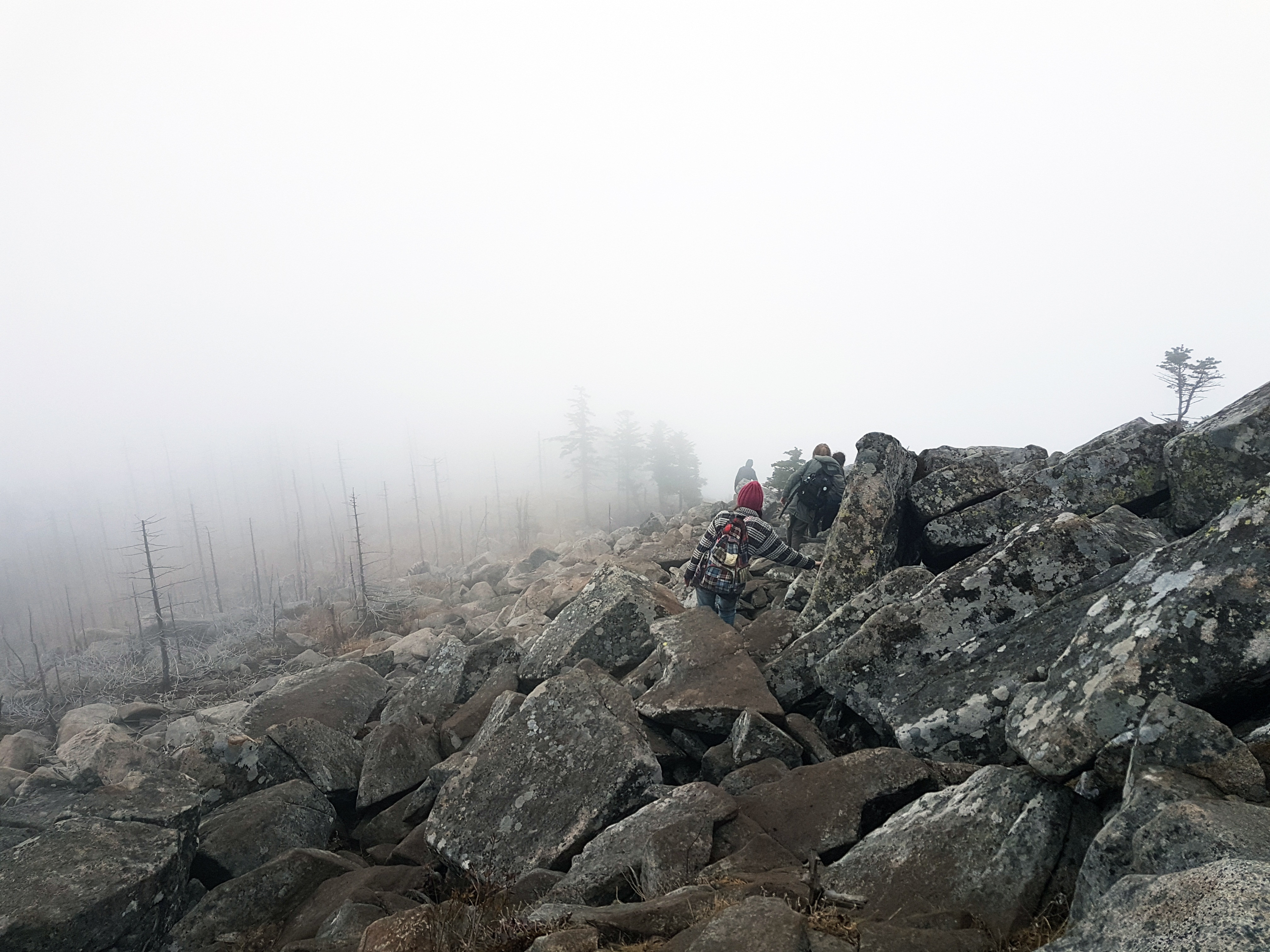 Небывалое паломничество на приморскую гору Пидан