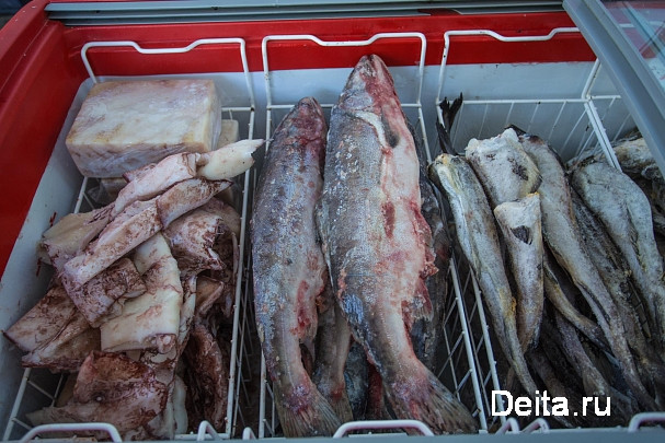 Совет Евразийского экономического союза принял «рыбный» техрегламент