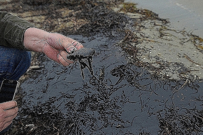 Цена нефти определена на ближайшие пять лет