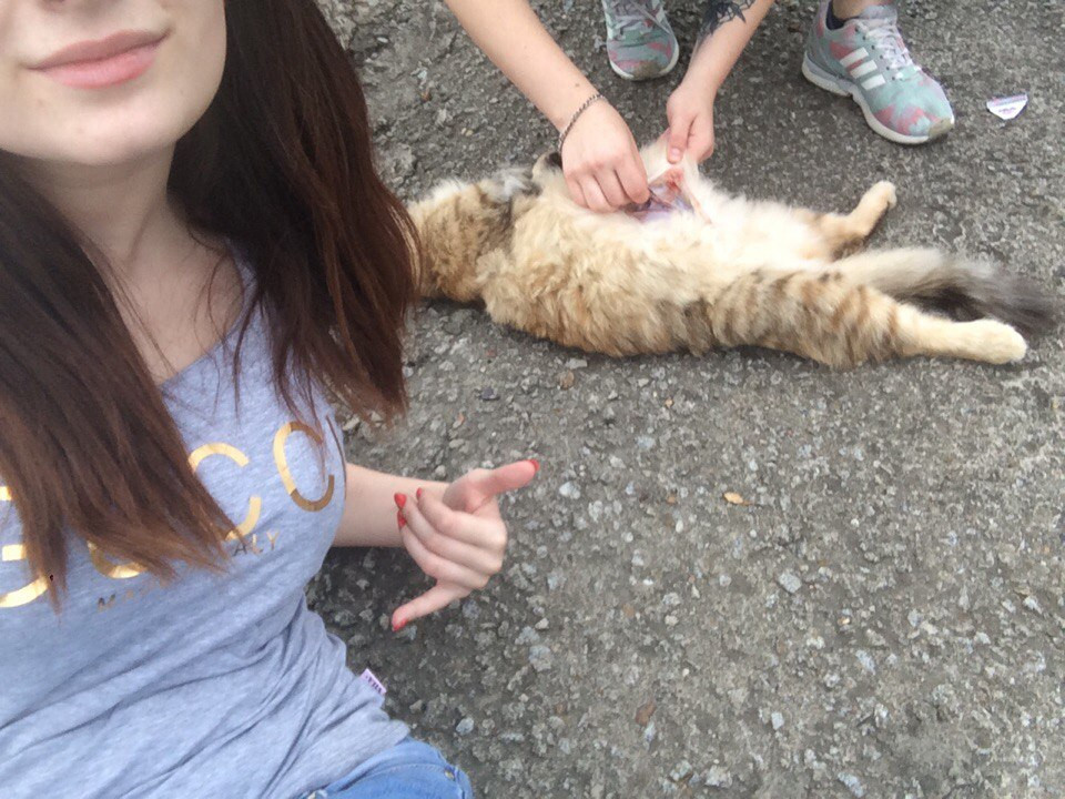 Живодерка из Хабаровска пыталась сбежать