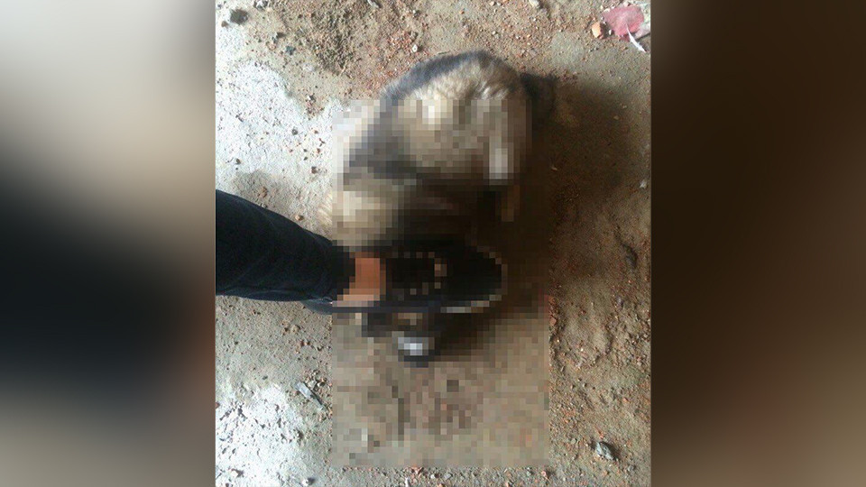 Девушка в Хабаровске удовлетворяла жажду крови