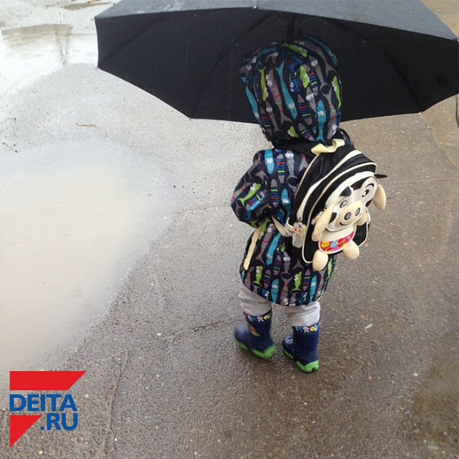 Приморские синоптики подготовили неутешительный прогноз