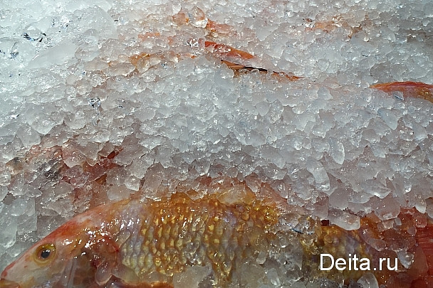 Городская предпраздничная ярмарка приятно удивит жителей и гостей Владивостока