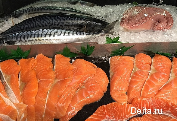 Новая территория опережающего развития появилась на Дальнем Востоке