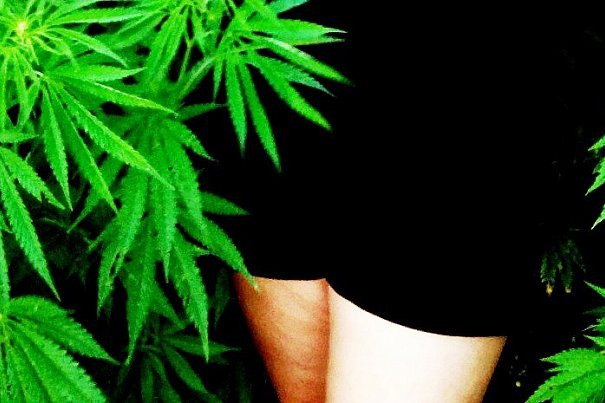 Приключения приморских приставов в кустах конопли