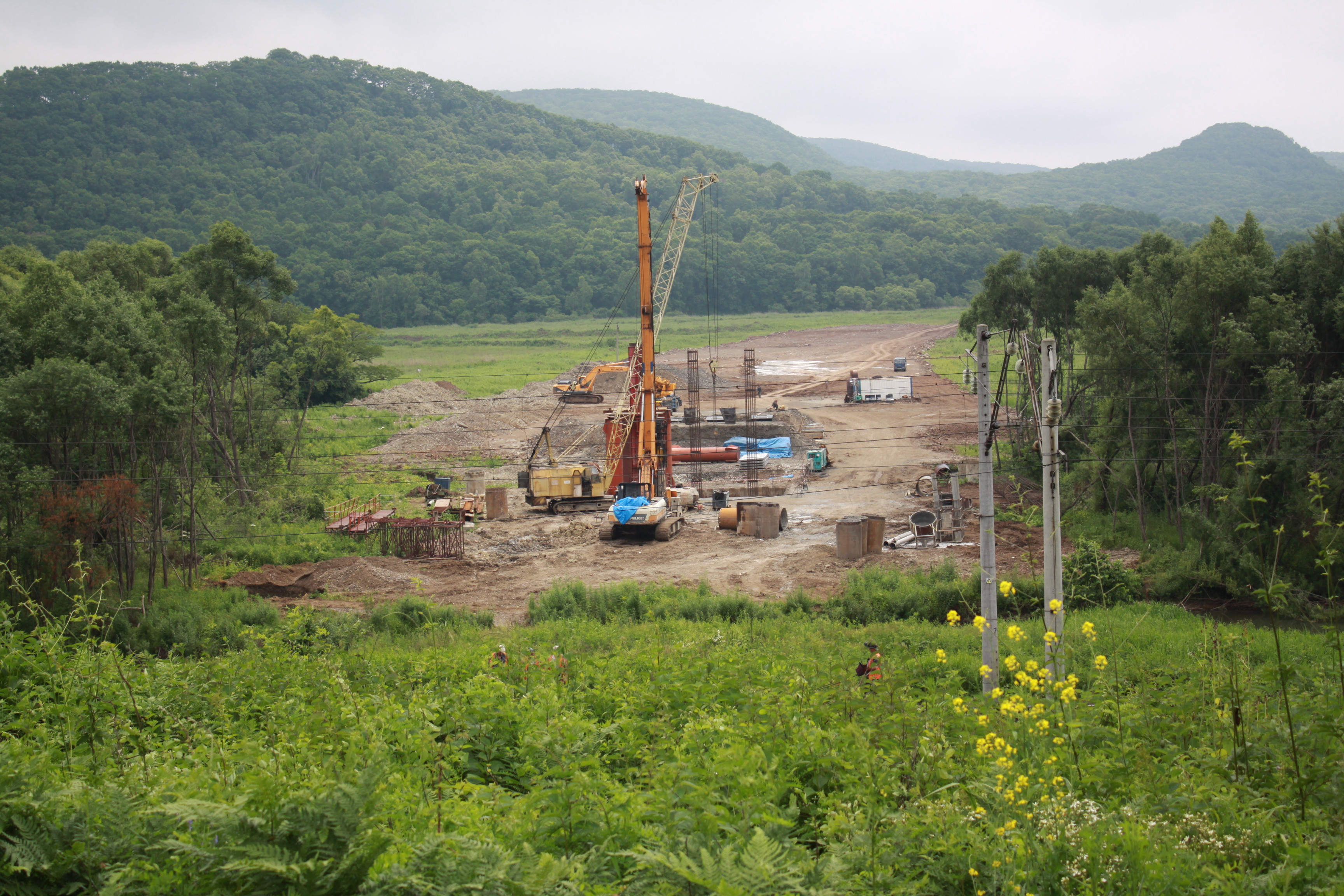 артемов находка