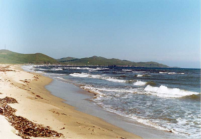 Трагедией завершились поиски ребёнка в Приморье