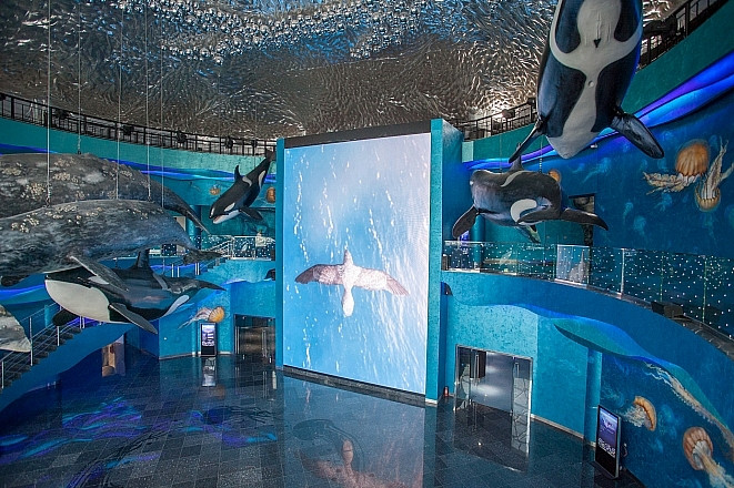 Необычный подарок получил приморский океанариум