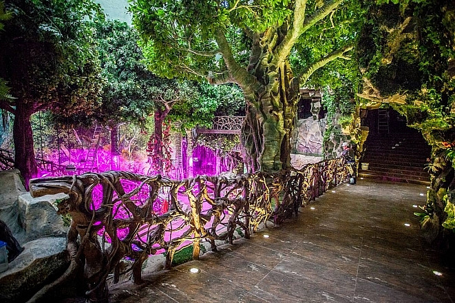 Необычный день рождения отметил Приморский океанариум