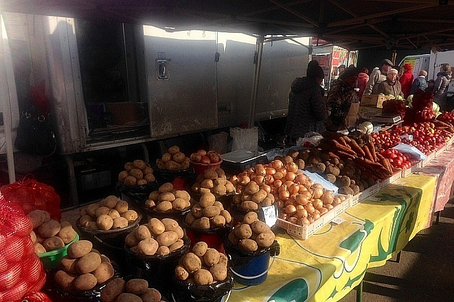 Фитосанитарный контроль ужесточен в России