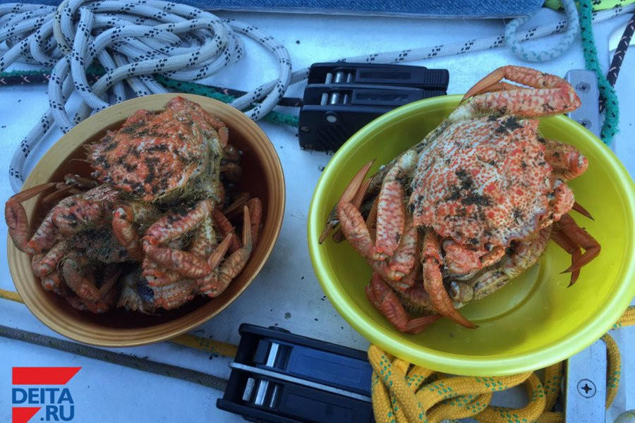 Тяжелейшую интоксикацию можно получить на одном из рынков Приморья – Россельхозднадзор