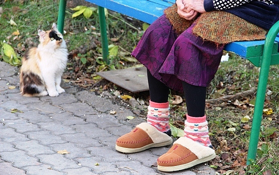 Новый вид мошенничества придумали на Сахалине