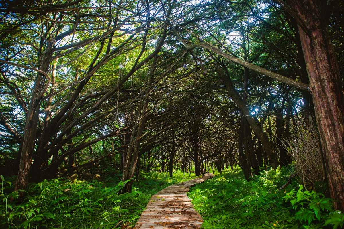 Новые заповедные тропы открылись в Приморье