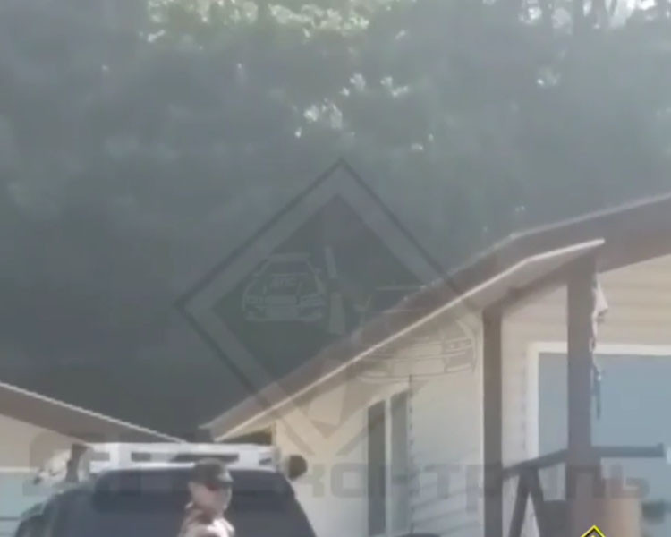 Осы на Приморском пляже распугали отдыхающих (видео)