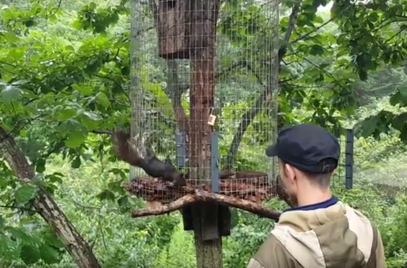 В Приморском Сафари-парке появился новый житель
