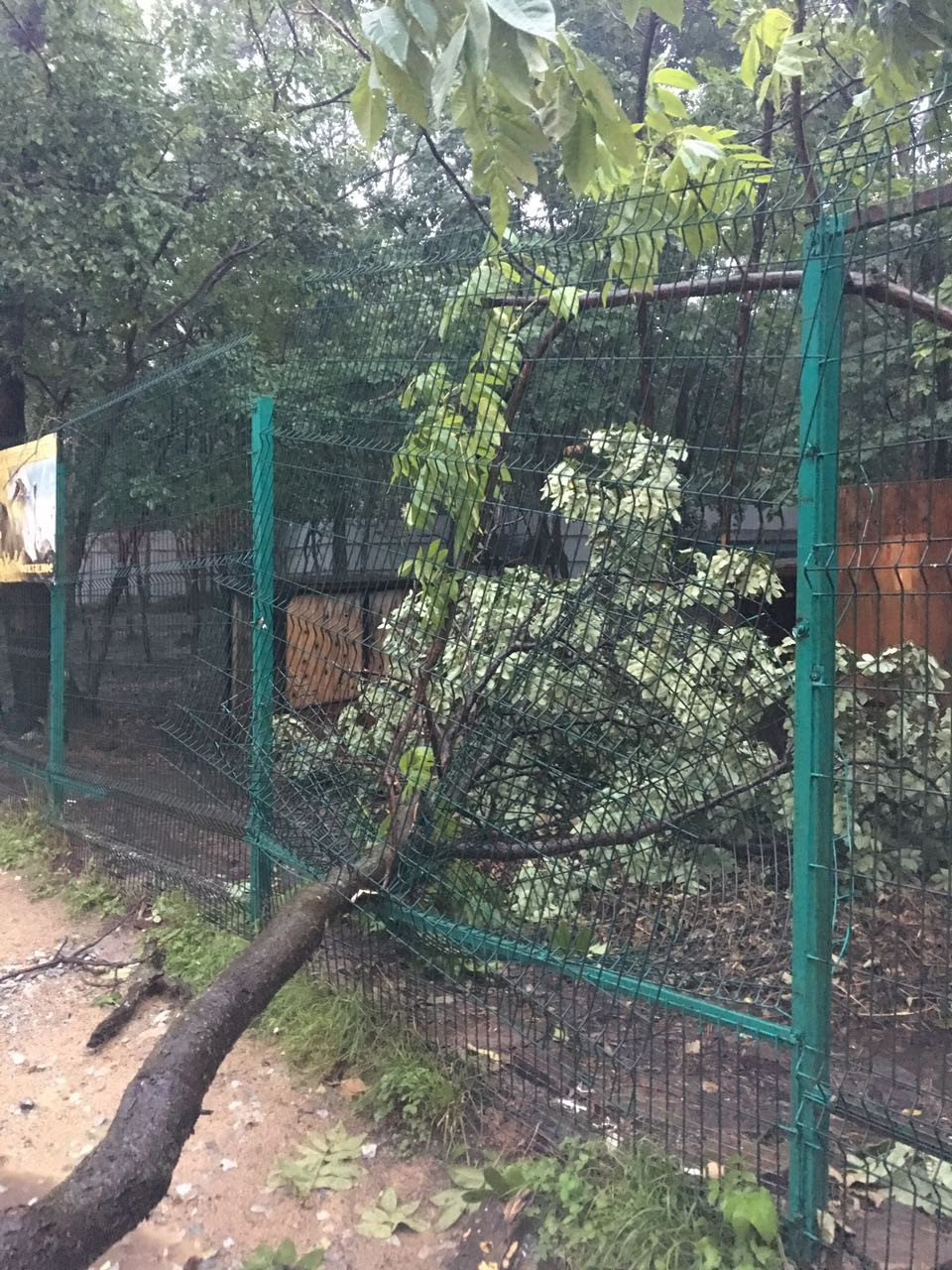 Скандал в зоопарке Владивостока - пострадала женщина (фото, видео)