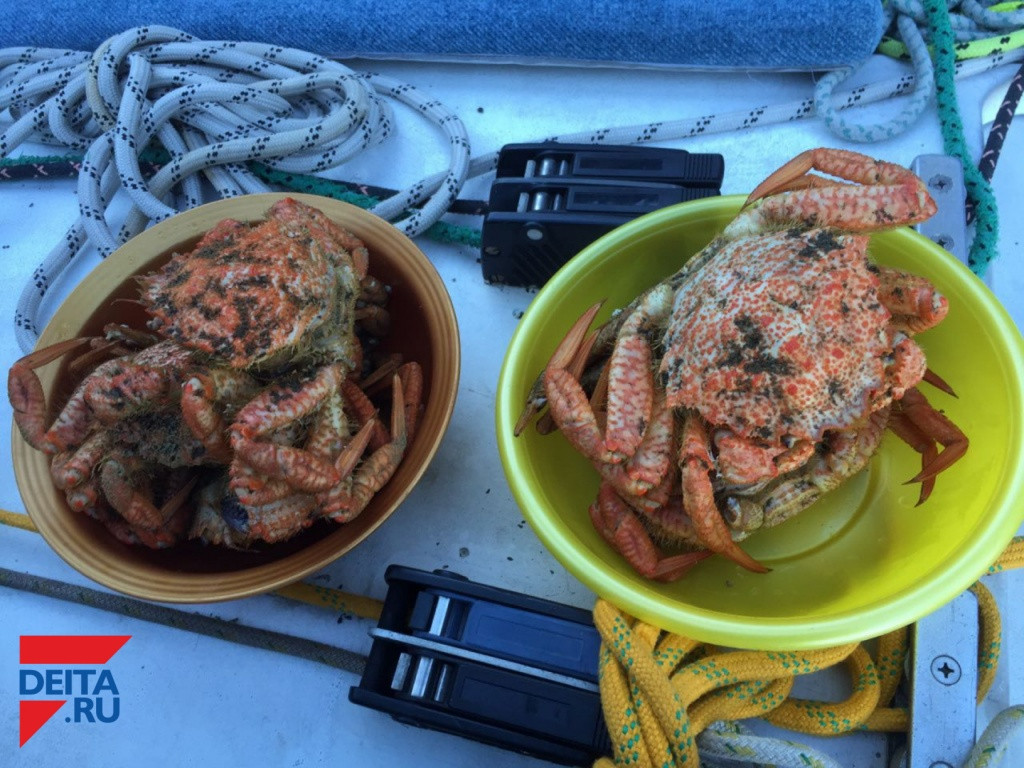 Подозрительные морепродукты продавали в Приморье