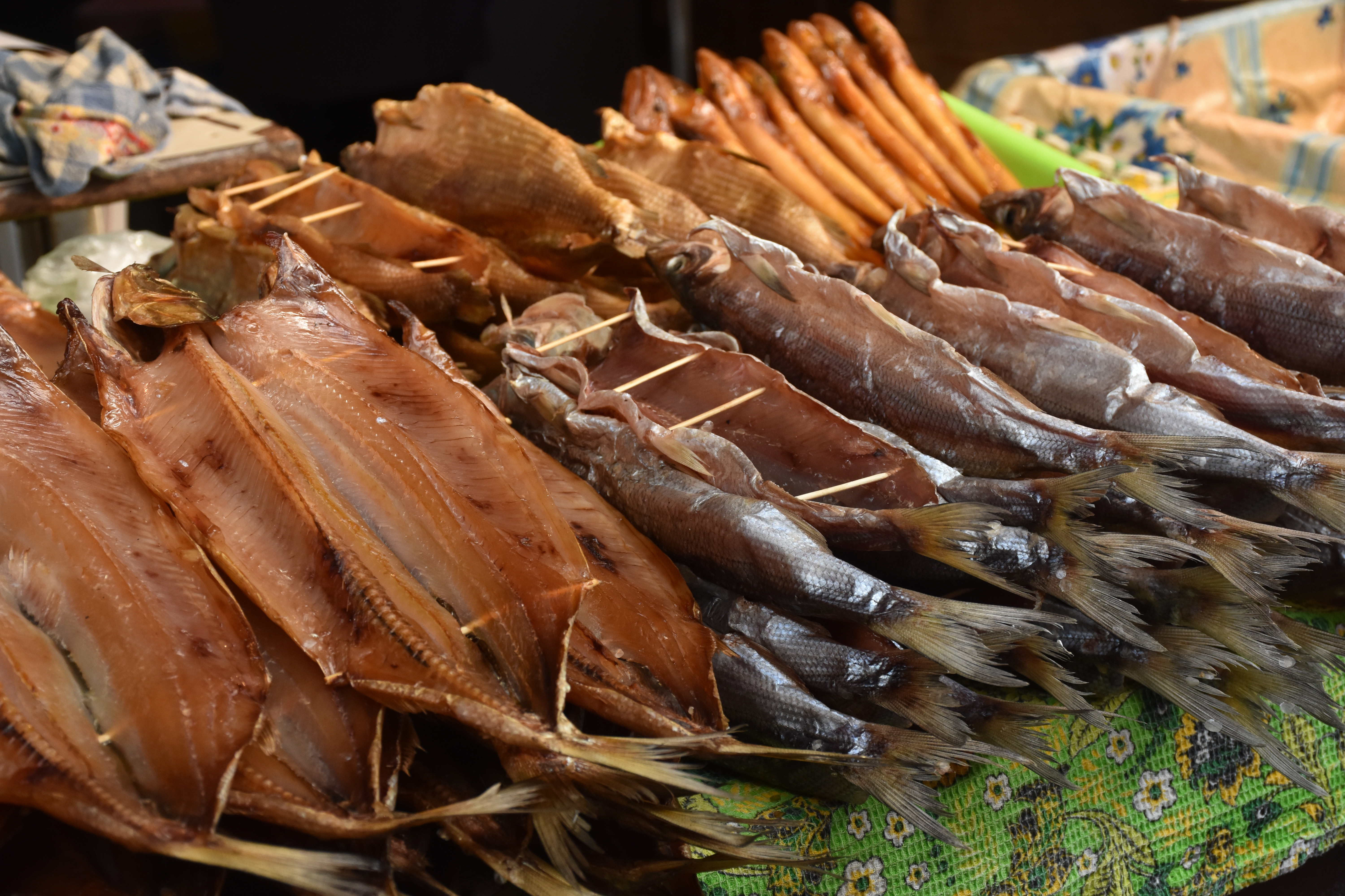 Ситуация с рыбой в Байкале – генпрокуратура РФ  бьет тревогу