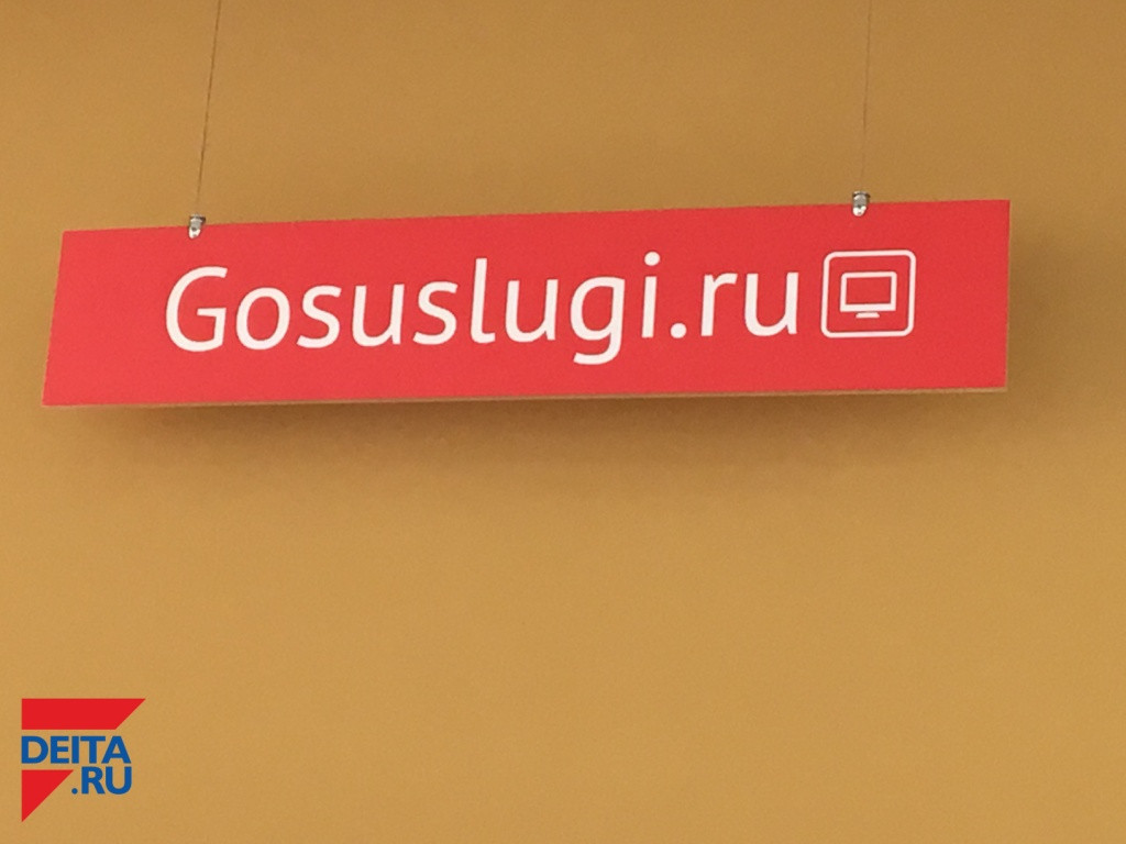 Госуслуги облегчают жизнь приморцев (видеоинструкция)