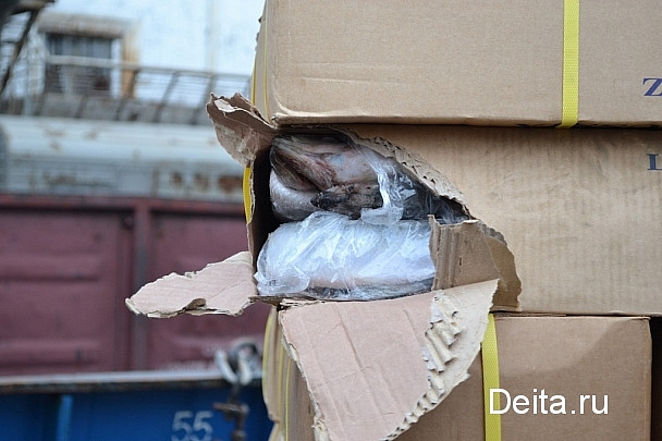 Передовые технологии дошли до рыбного хозяйства в Приморье