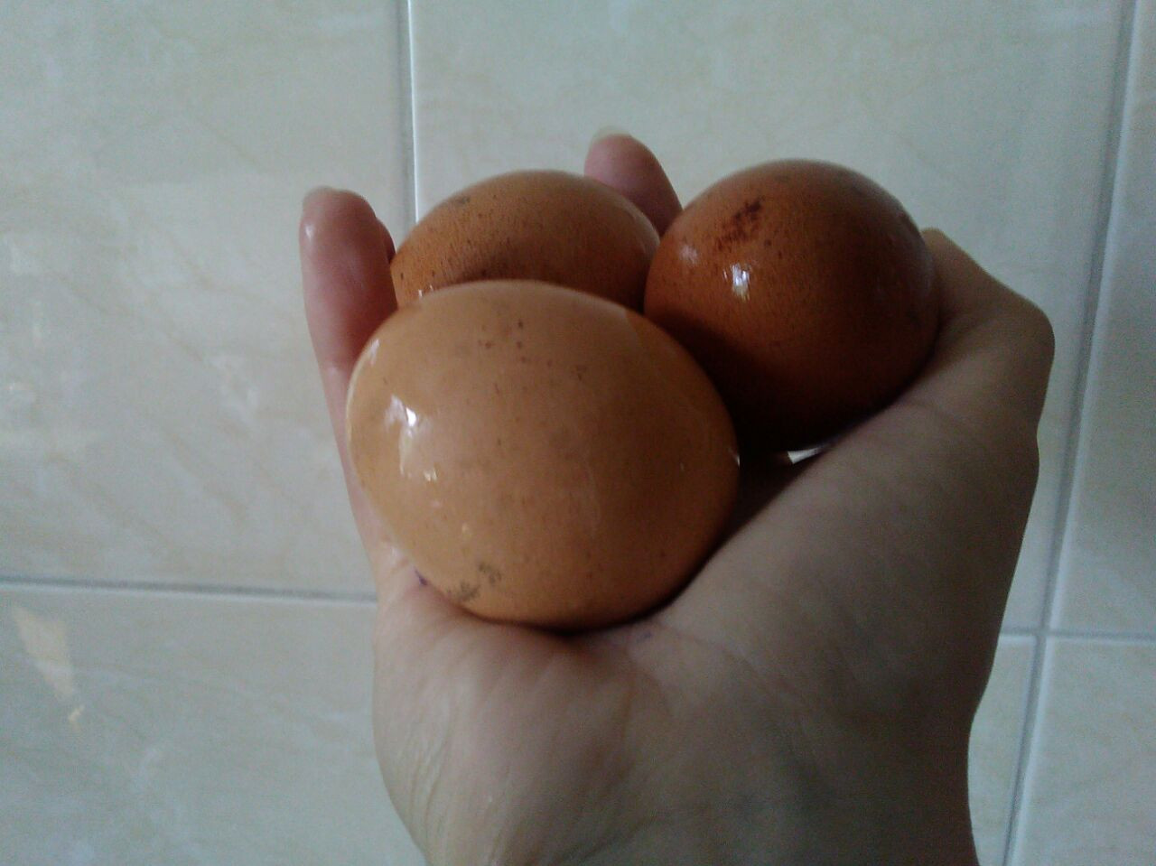 У водителя в Приморье забрали яйца без документов