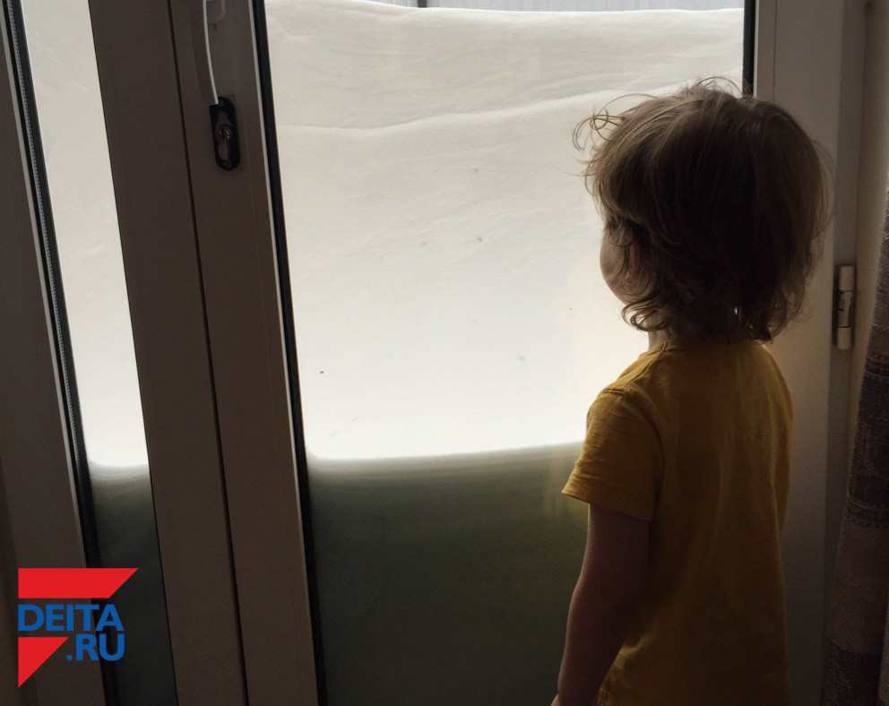 Результаты проверки приморского детского сада, где произошел несчастный случай