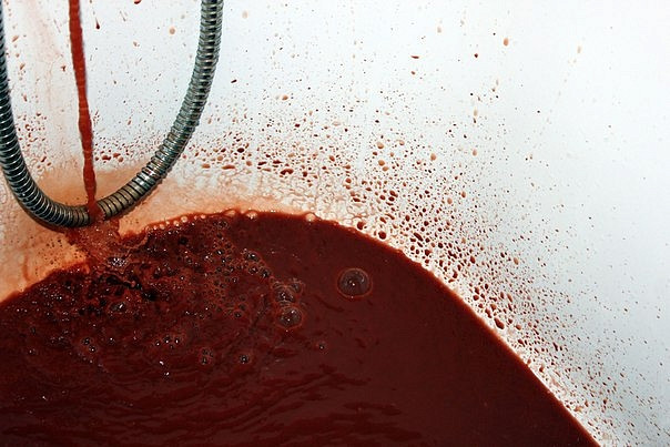 Российских детей травят через кеды