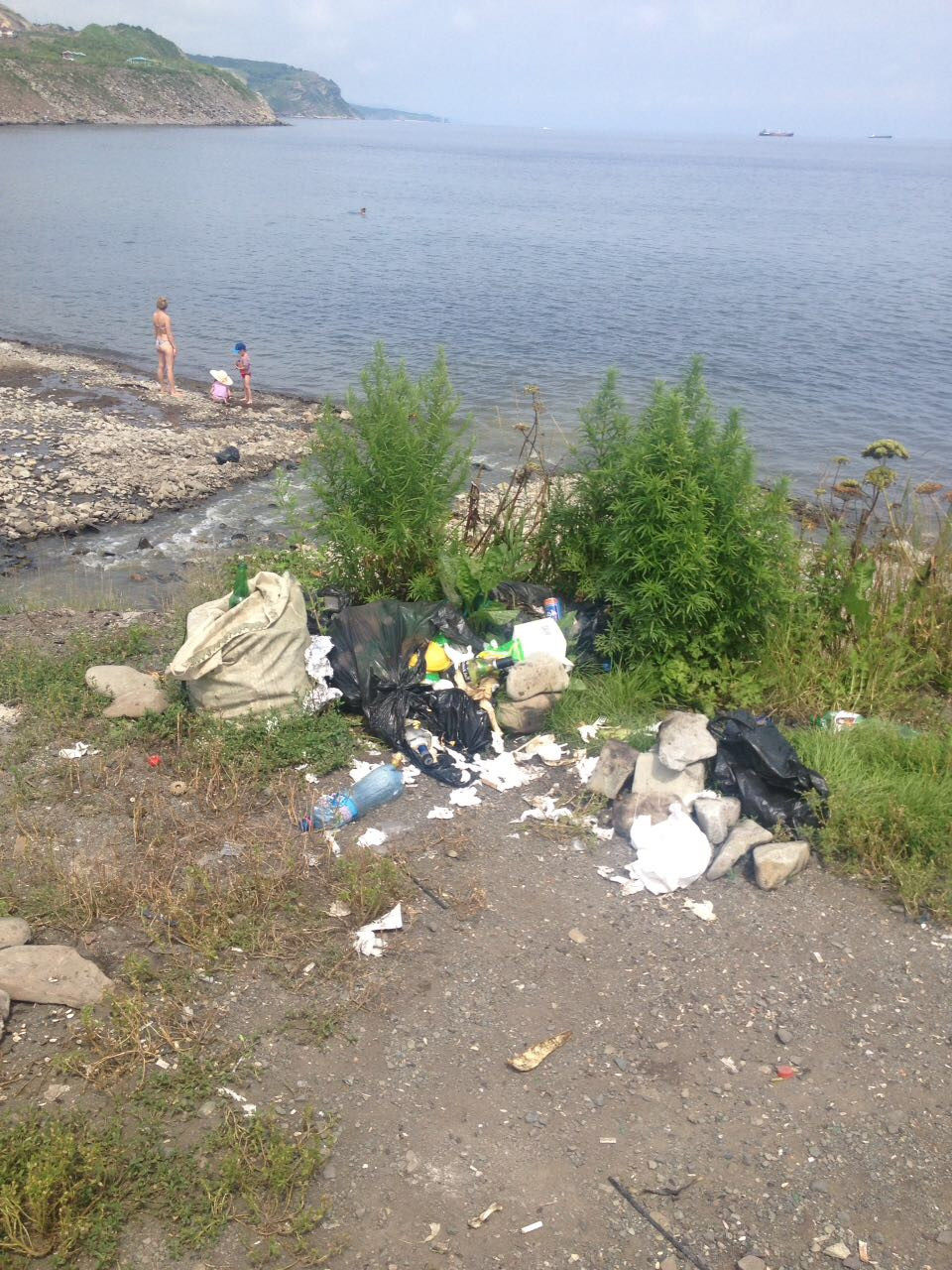 Новый субботник фонда ВВН пройдет на Патрокле