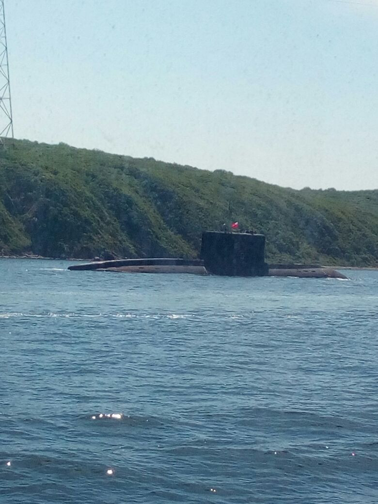 Жителей острова Русский напугала подлодка (фото)