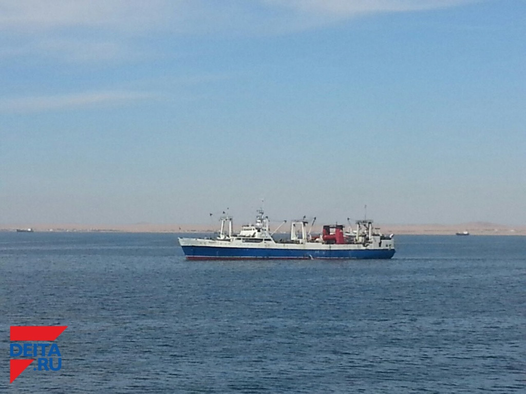 Таинственное исчезновение моряка с борта судна в Охотском море будоражит россиян