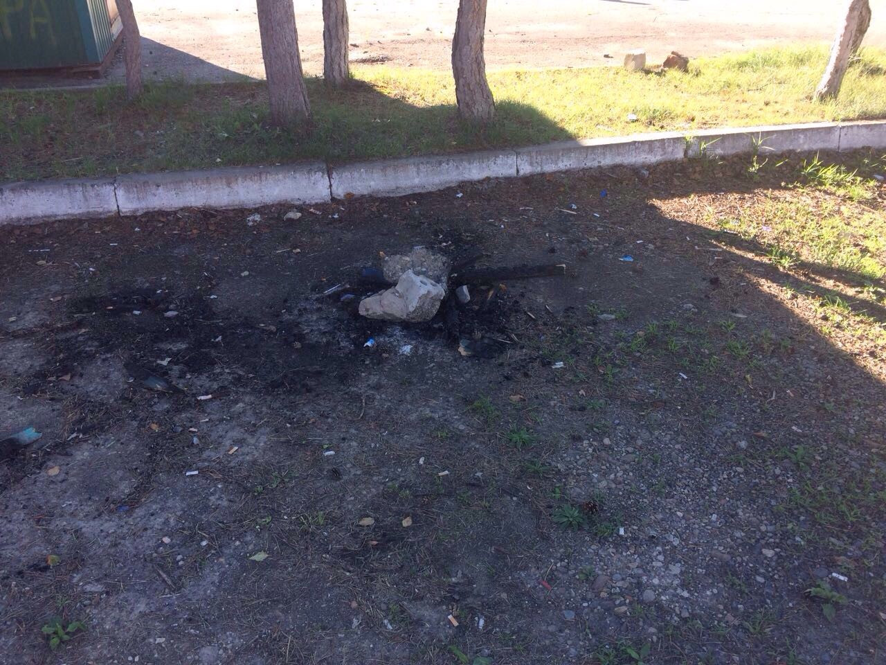 Молодёжь Лесозаводска против «свинства» в центре города (видео)