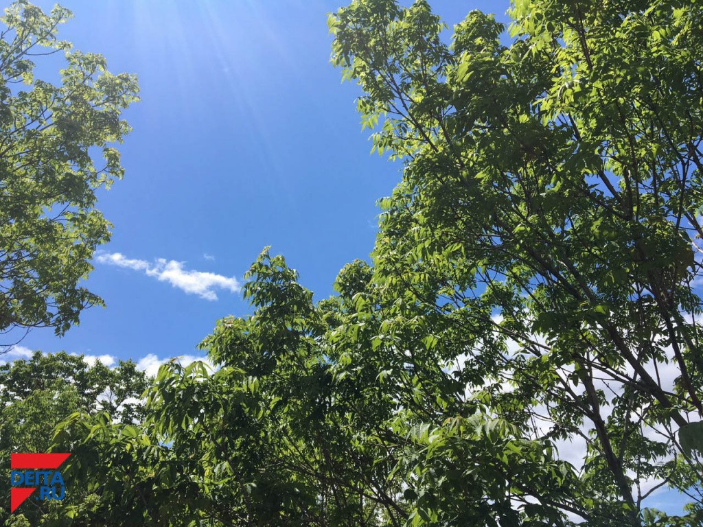 Синоптики Приморья сделали прогноз на выходные