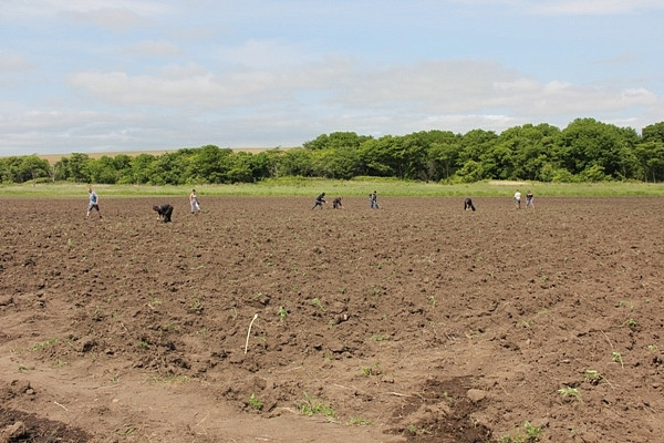 Исчезнувший поселок возрождает получатель бесплатного гектара в Приамурье