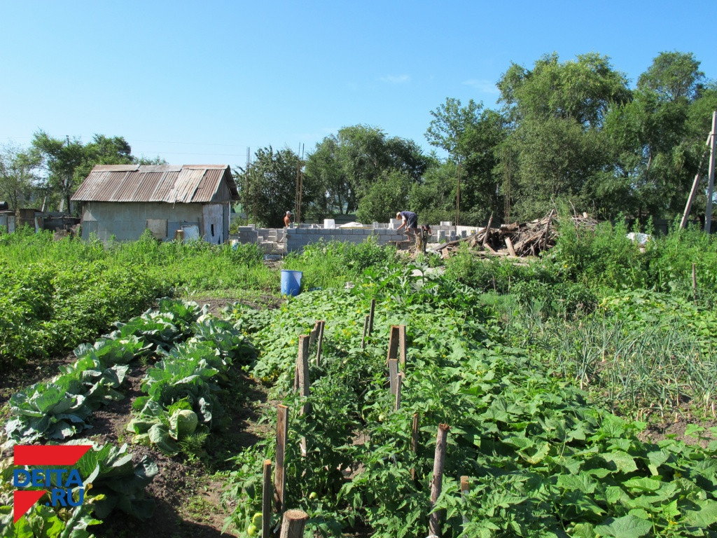 Дачные товарищества упразднили в России