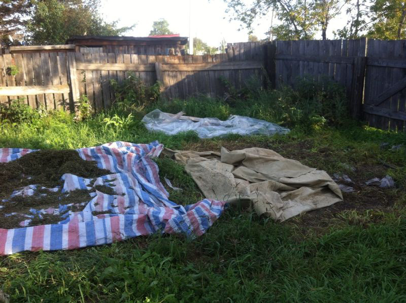 Наркомана сняли с автобуса в Приморье