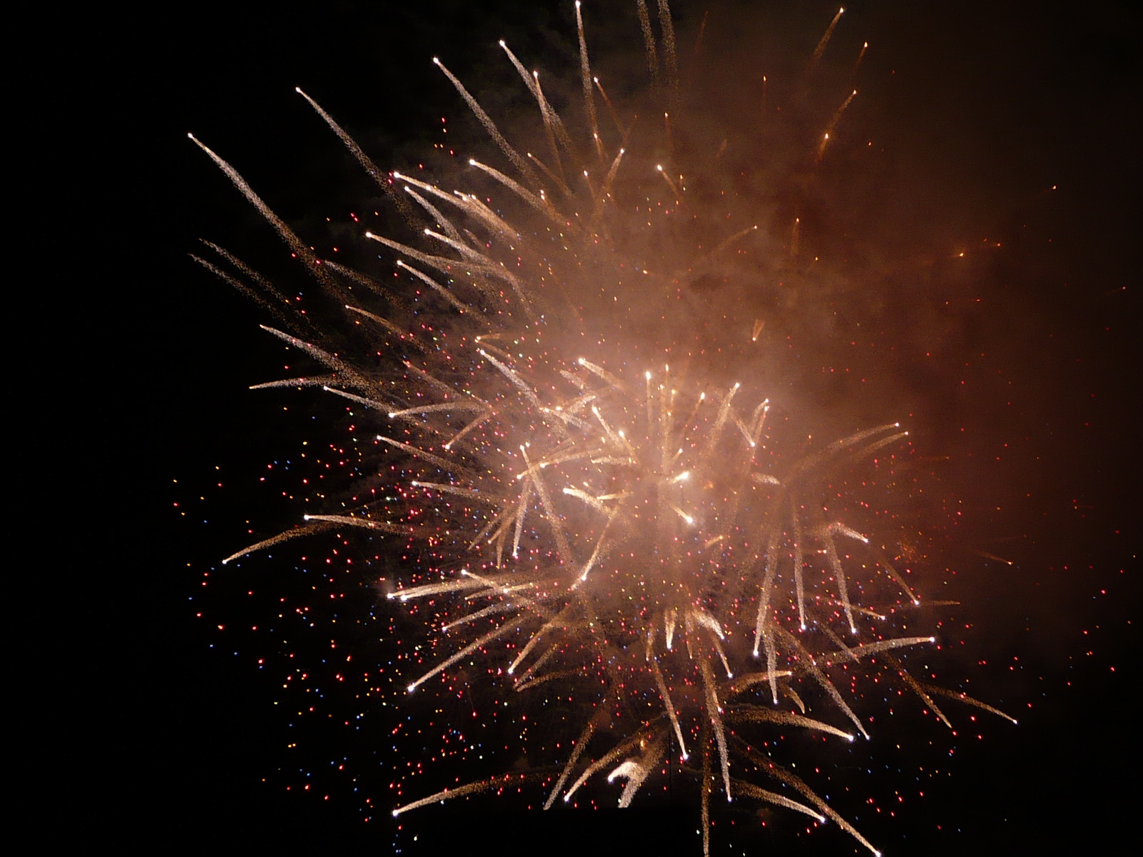 Дождь не стал помехой грандиозному фейерверку в Токио (фото)