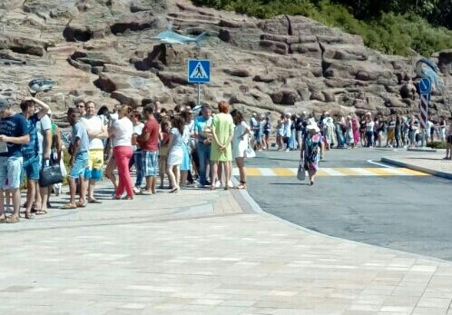 Приморцев посылают за билетами в океанариум в 7 утра