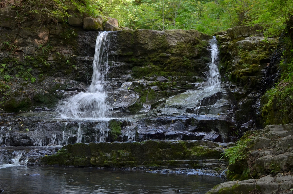 История с пропавшим в лесу приморцем закончилась хэппи-эндом